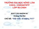 Bài thuyết trình: Đột biến số lượng NST - ĐH Nông Lâm