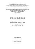 Quy hoạch Tổng thể và Nghiên cứu khả thi về GTVT Đô thị TP.HCM (HOUTRANS) - Báo cáo cuối cùng - Quyển 5: Báo cáo kỹ thuật - Số 3: Chi phí vận tải