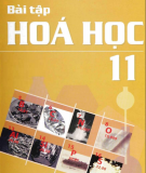 Hướng dẫn giải bài tập Hóa học 11: Phần 2