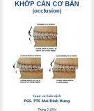 Tìm hiểu về Khớp cắn cơ bản (Occlusion): Phần 2