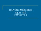 Bài giảng Đáp ứng miễn dịch dịch thể (Lymphocyte B)