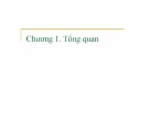 Bài giảng Hệ điều hành - Chương 1: Tổng quan (2008)