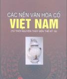 Việt Nam - Các nền văn hóa Cổ: Phần 2