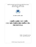 Tiểu luận: Chiến lược xúc tiến các sản phẩm bảo hiểm của Prudential