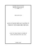 Luận văn Thạc sỹ Quản lý kinh tế: Quản lý nguồn nhân lực tại Công ty TNHH MTV Thí nghiệm điện Miền Bắc