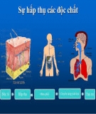 Chương 1: Giới thiệu về độc chất học - TS. Lê Quốc Tuấn