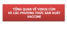 Bài thuyết trình: Tổng quan về virus cúm và các phương thức sản xuất vaccine