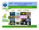 Bài giảng môn Độc học môi trường - Chương 5: Độc học hóa học - Sinh học - Kim loại nặng (Phần 2) - TS. Trần Thị Thúy Nhàn