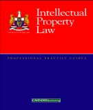 Intellectual Property Law: Part 2