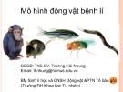 Bài giảng Mô hình động vật bệnh lí - ThS.GV. Trương Hải Nhung