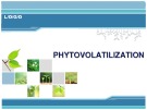 Phytovolatilization