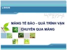 Bài thuyết trình: Màng tế bào - Quá trình vận chuyển qua màng