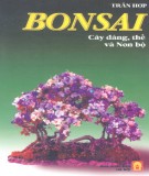 Nghệ thuật tạo dáng cây, thế và Non bộ - Bonsai : Phần 1