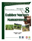 Module 8: Rubber nursery management