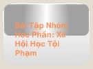 Bài tập nhóm Học phần Xã hội học tội phạm: Luật Hình sự