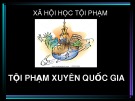 Bài thuyết trình Xã hội học tội phạm: Tội phạm xuyên quốc gia