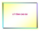 Bài giảng môn Công nghệ cao su: Lý tính cao su