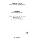 Báo cáo tổng kết kết quả nghiên cứu đề tài: Nghiên cứu phụ gia đè chìm cho tuyển nổi quặng apatit loại II