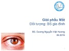 Bài giảng Giải phẫu mắt (Đối tượng: BS gia đình) - BS. Dương Nguyễn Việt Hương