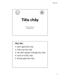 Bài giảng Tiêu chảy - TS.BS. Lê Thanh Toàn (ĐH Y dược TP.HCM)