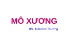 Bài giảng Mô xương - BS. Trần Kim Thương