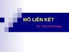 Bài giảng Mô liên kết - BS. Trần Kim Thương