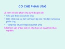 Bài giảng Cơ chế phản ứng