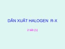 Bài giảng Dẫn xuất halogen R - X