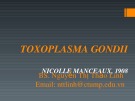 Bài giảng Toxoplasma gondii - BS. Nguyễn Thị Thảo Linh