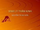 Bài giảng Sinh lý thần kinh - Nguyễn Trung Kiên