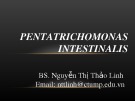 Bài giảng Pentatrichomonas intestinalis - BS. Nguyễn Thị Thảo Linh