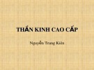 Bài giảng Thần kinh cao cấp - Nguyễn Trung Kiên