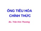 Bài giảng Ống tiêu hóa chính thức - BS. Trần Kim Thương