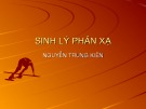 Bài giảng Sinh lý phản xạ - Nguyễn Trung Kiên