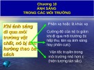 Bài giảng Chương 10: Ánh sáng trong các môi trường