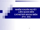 Bài giảng Nhiễm khuẩn huyết liên quan đến catheter ngoại biên (PVC_BSI)