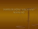 Bài giảng Doppler động mạch não ngoài sọ