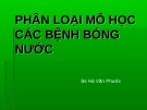 Bài giảng Phân loại mô học các bệnh bóng nước - BS. Hà Văn Phước