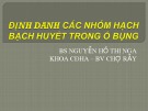 Bài giảng Định danh các nhóm hạch bạch huyết trong ổ bụng - BS. Nguyễn Hồ Thị Nga