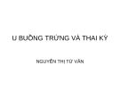 Bài giảng U buồng trứng và thai kỳ - Nguyễn Thị Từ Vân