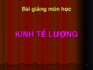 Bài giảng môn học Kinh tế lượng - Chương 1: Giới thiệu