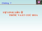 Bài giảng Chương 7: Sự sinh sản ở thực vật có hoa