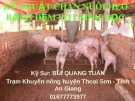 Bài giảng Kỹ thuật chăn nuôi heo trên đệm lót sinh học - KS. Bùi Quang Tuấn