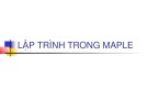 Bài giảng Maple: Bài 7 - Lập trình trong maple