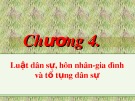 Bài giảng Pháp luật đại cương: Chương 4 - Luật dân sự, hôn nhân - gia đình và tố tụng dân sự