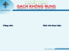 Thuyết trình Gạch không nung