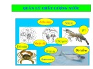 Bài giảng Quản lý chất lượng nước