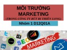 Bài thuyết trình: Môi trường Marketing (Trong Công ty Bút bi Thiên Long)