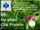 Đề tài: Sự phân giải Protein