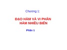 Bài giảng Chương 1: Đạo hàm và vi phân hàm nhiều biến (Phần 1)